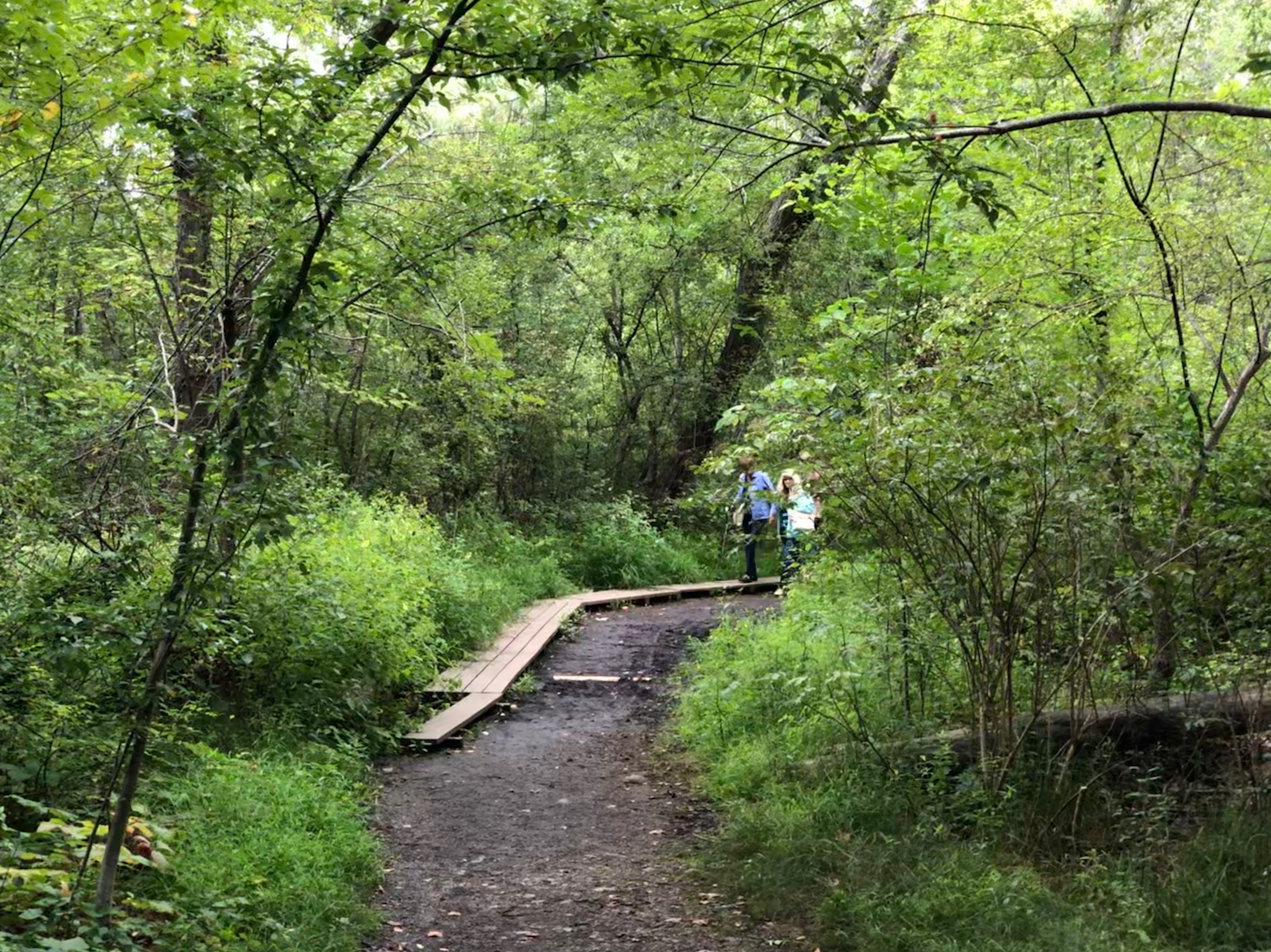 Cold Spring Park Trail